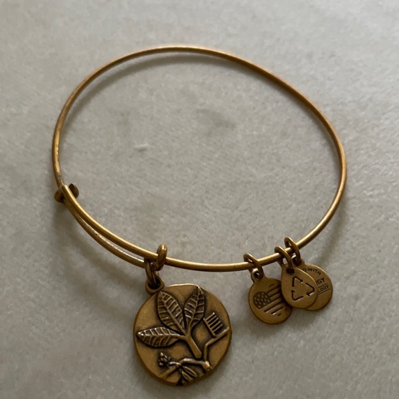 Alex and Ani Jewelry - Alex and Ani Bracelet